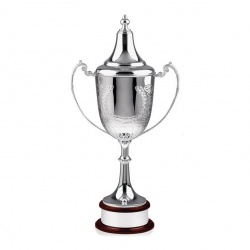 Large Silver Trophy L554