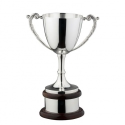 17in Silver Trophy UPP466